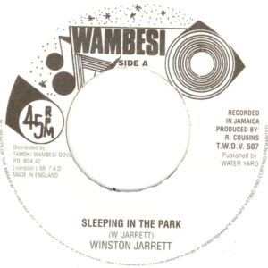 Tamoki Wambesi - Winston Jarrett - Sleeping In The Park - 7 Inch Vinyl Record