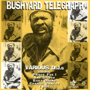 Tamoki Wambesi - Bushyard Telegraph - CD